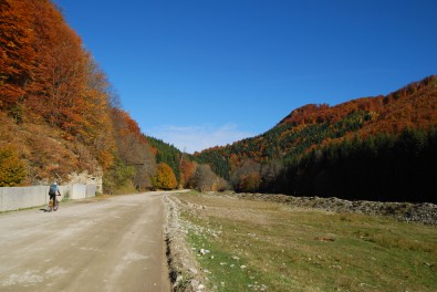 Valea Rea