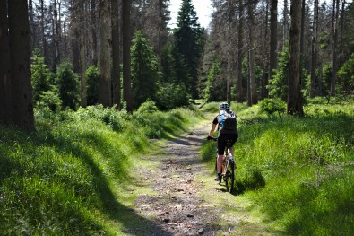 Cu bicicleta prin Harz