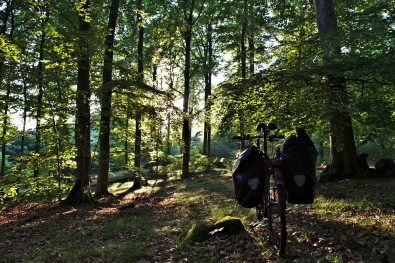 Ruegen Beech Forests