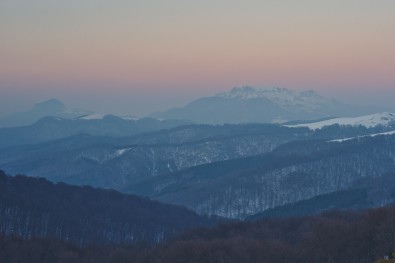 DSC_0686