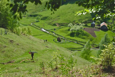 DSC_7646