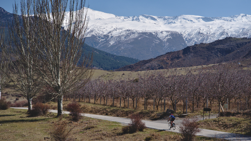 Pedaland cu Sierra Nevada deasupra noastra.