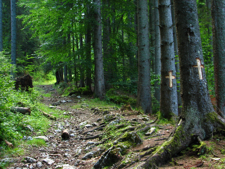 Piatra Craiului, Corbu si Dolomiti.