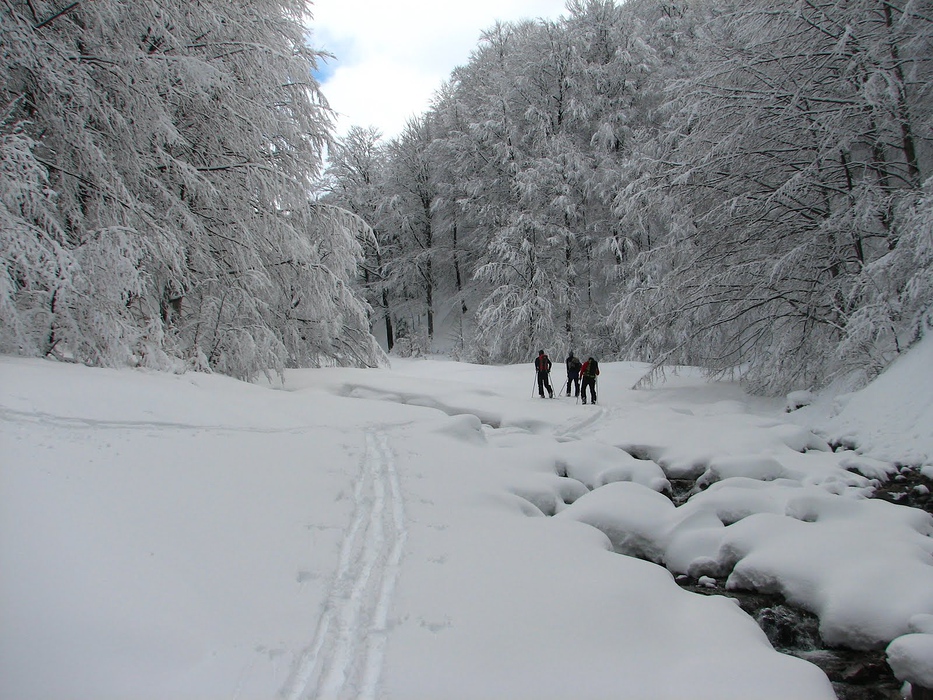 Pledoarie pentru ski de tura – o plimbare prin Baiului.