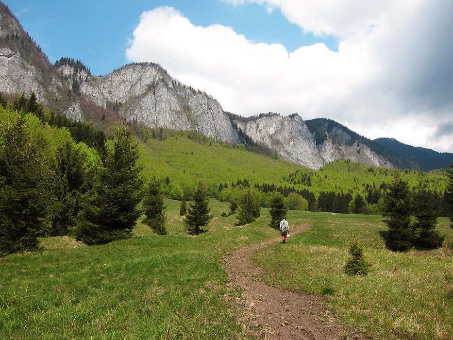 Catarare si alergat in Cheile Rasnovului