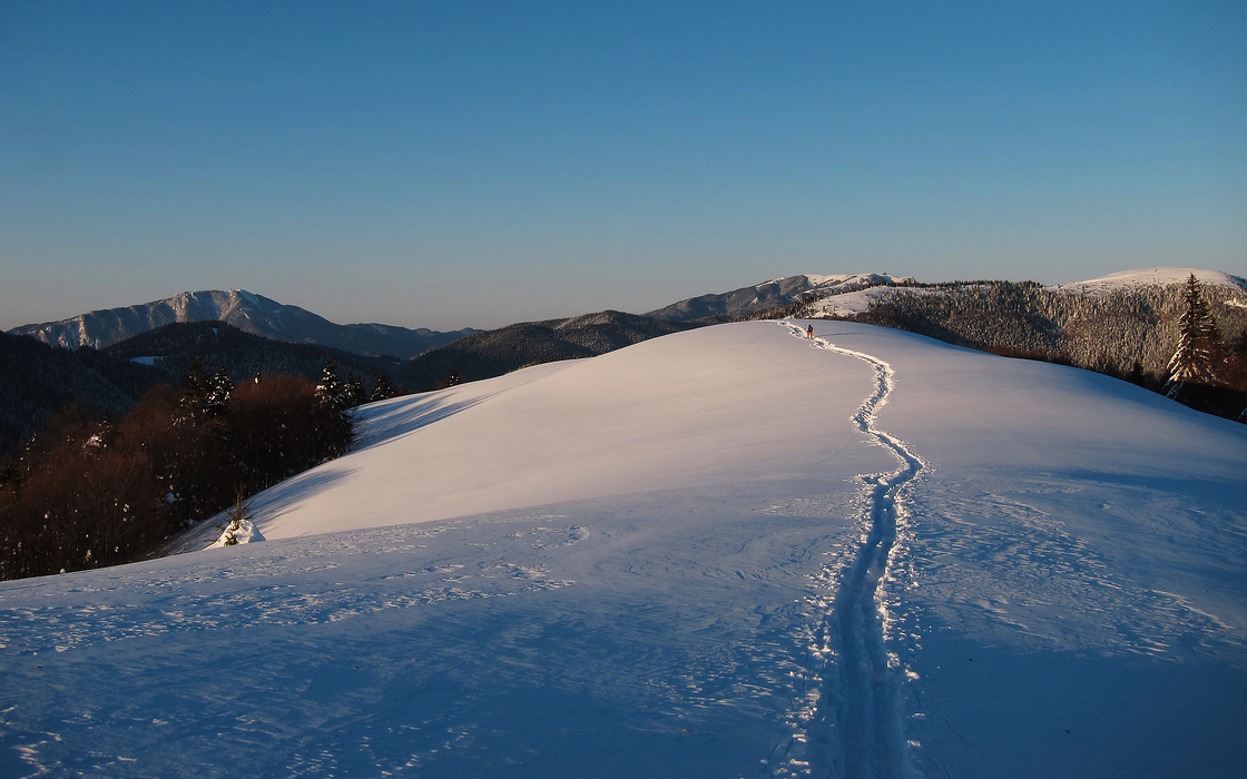 Zapezile mult asteptate, Postavaru, Piatra Mare si Baiului