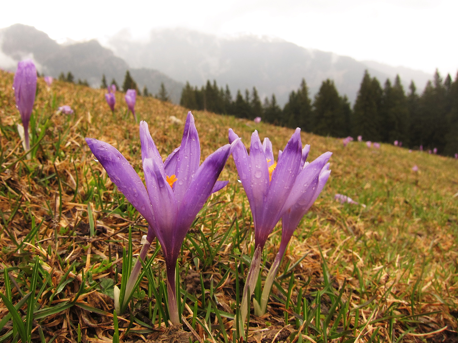 Din Comarnic pana in Sinaia