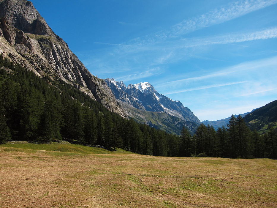 Grandes Jorasses