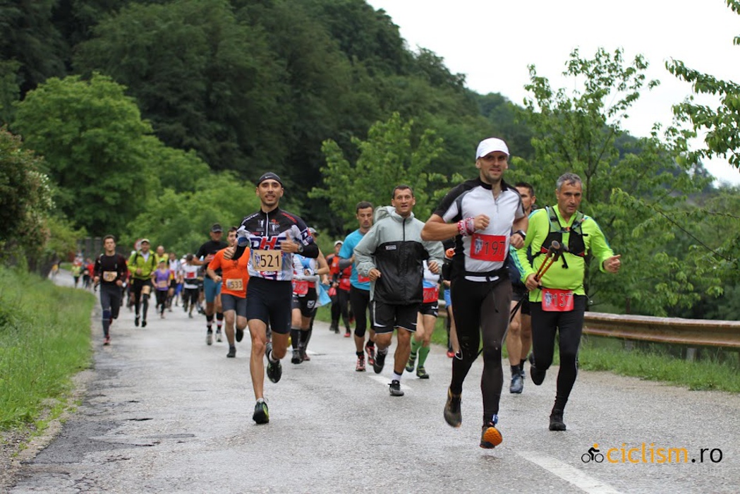 Hercules Marathon, editia din 2012