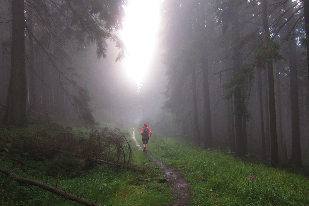 The Harz