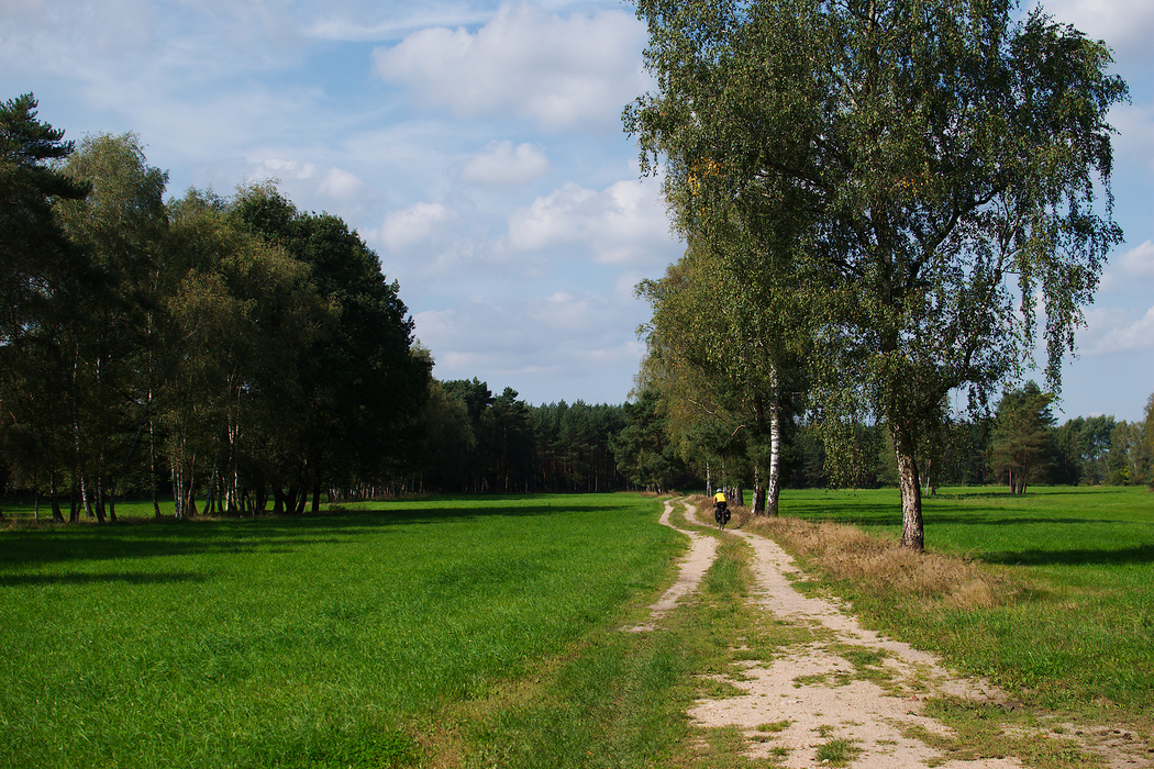 Froschradweg, pista broastei