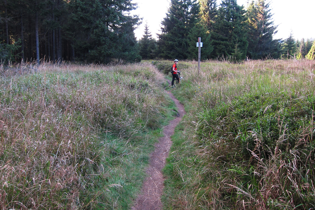 Harz bike