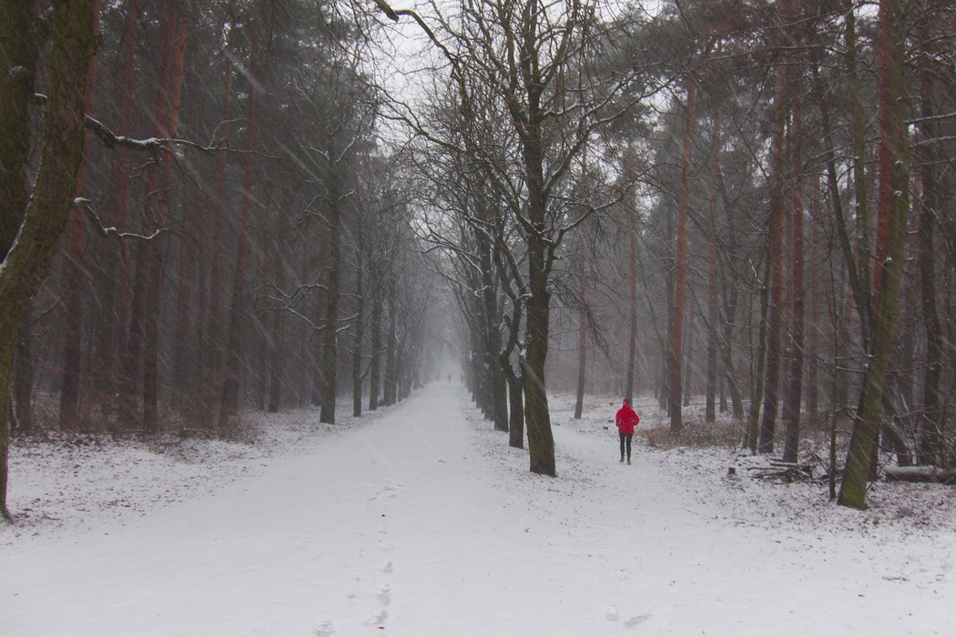 Iarna in Grunewald