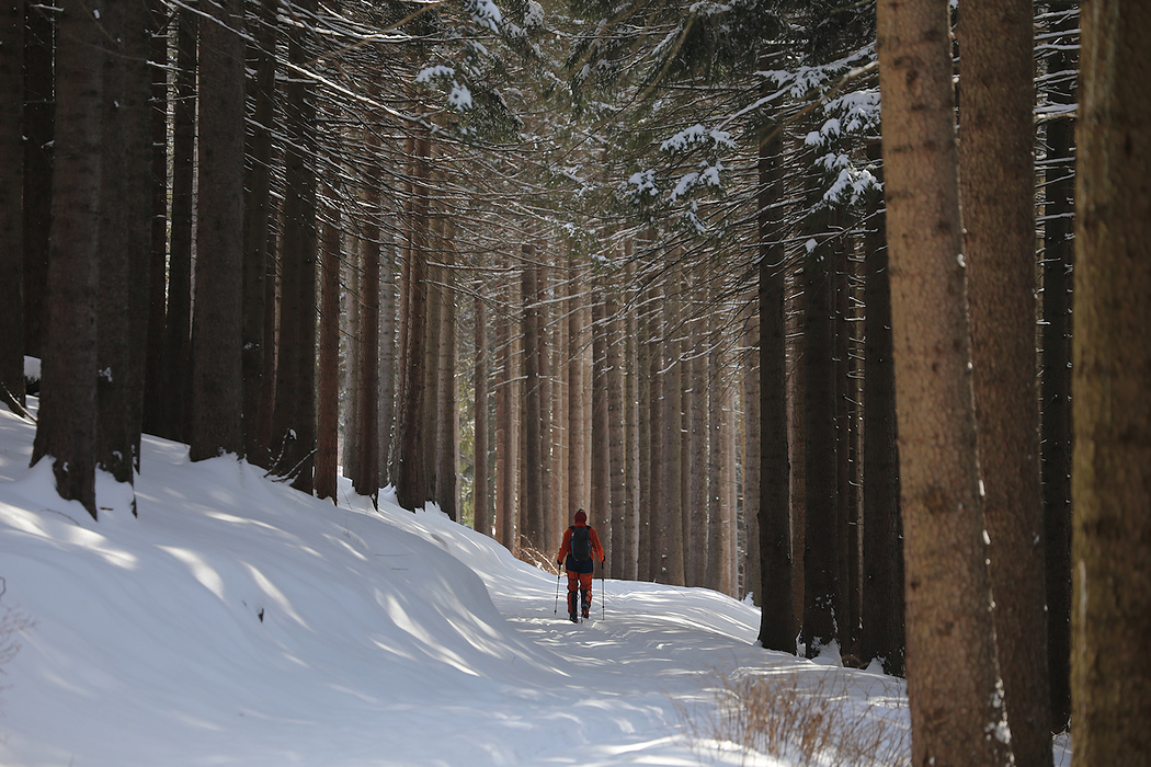 Harz la schi de tura