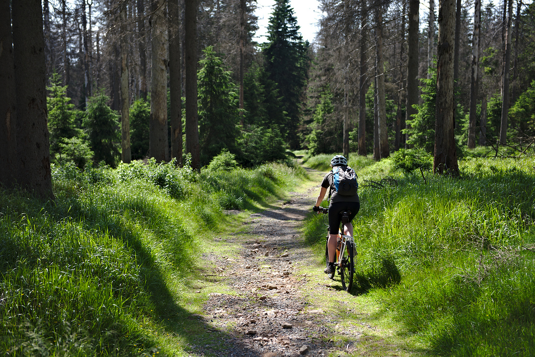 Cu bicicleta prin Harz