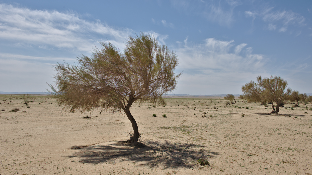 Ultimele 2 zile in Iran, strabatand Khorasanul