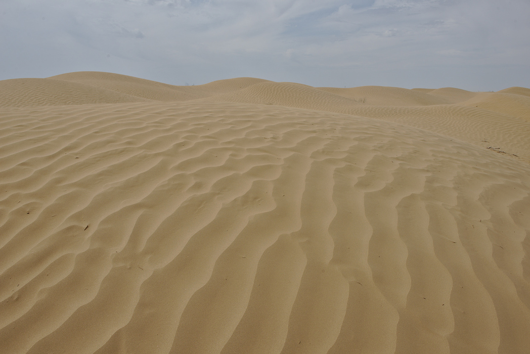 Din nou in mijlocul desertului, de data asta cu tot cu nisip si dune.