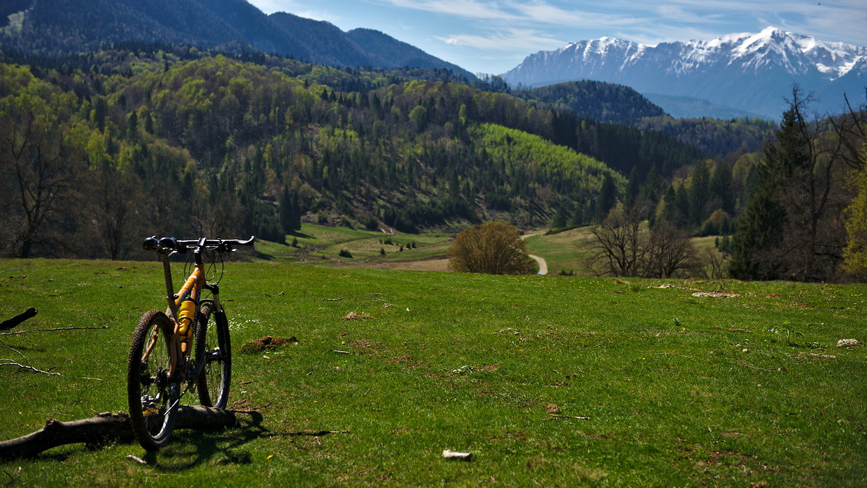 Pe saua MTB-ului prin tara Branului