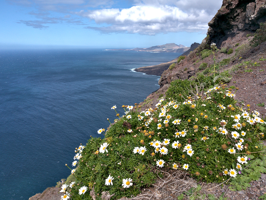 Fuga de iarna, in Gran Canaria.