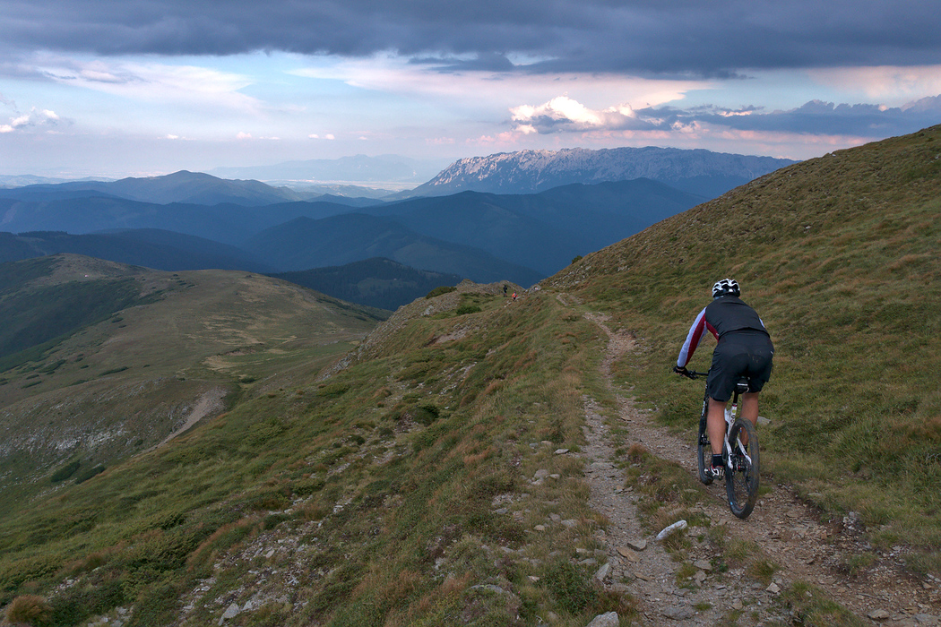 Zmeura, Afine, Salbaticie si Carry-Bike in Fagaras