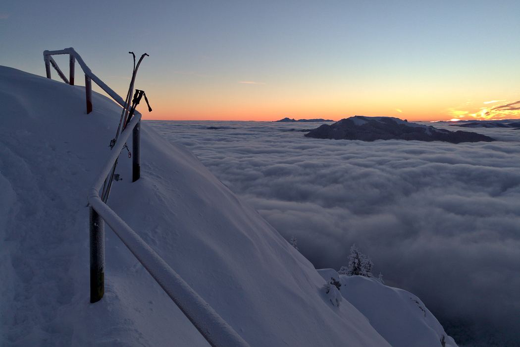 Postavaru Morning Glory, jurnalul diminetilor magice.