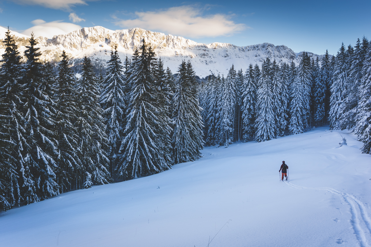 Moeciu freeride arena, varianta 2021