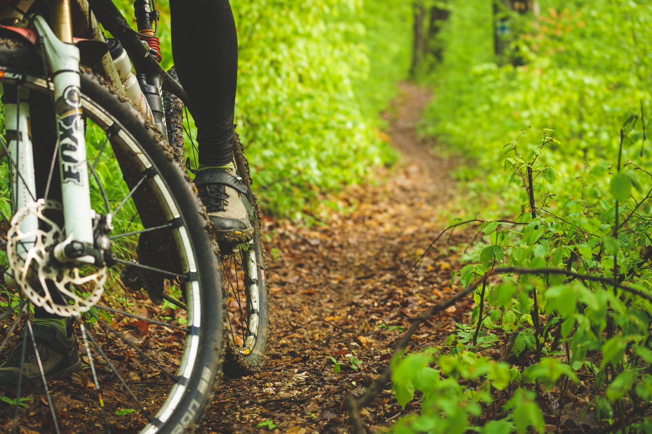 Transilvania Bike Trails ~ 50 shades of green