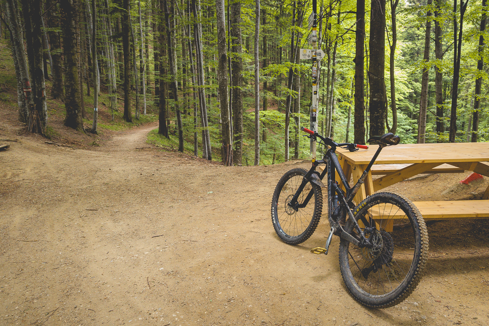 MTB-ul si Flow-ul.
