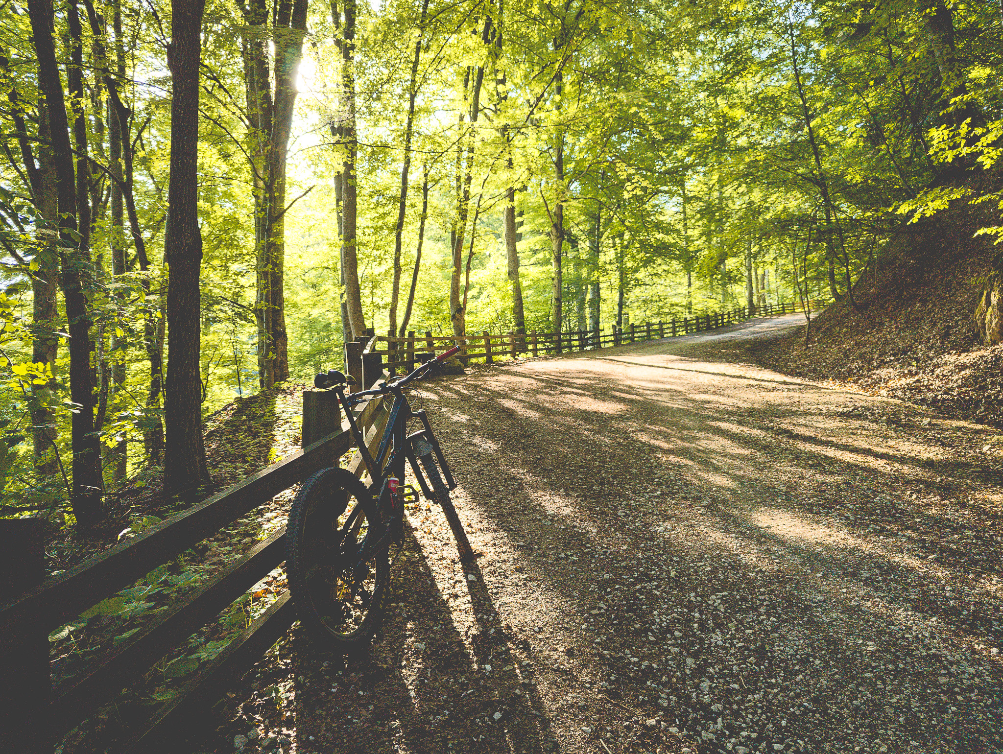 Bikepark si ziua lui Codrut