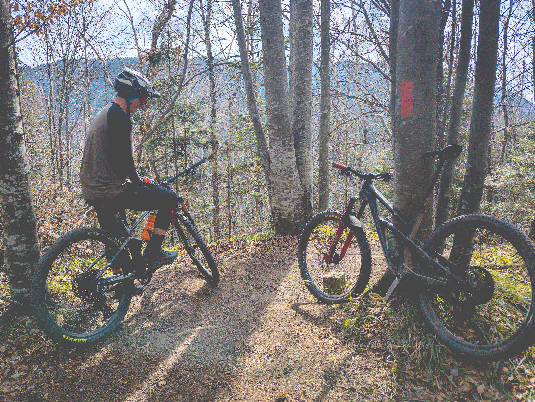 Primavara de la sfarsit de martie